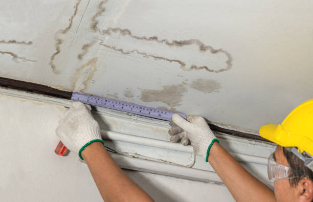 Reliable Water Damage contractor in Croswell, MI by Water Damage Irwin